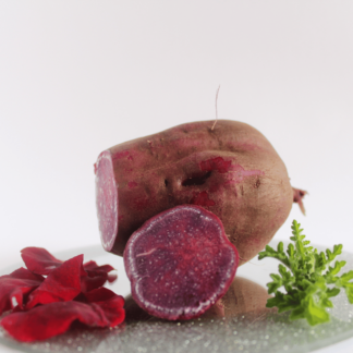LEGUME : PATATE DOUCE VIOLETTE_AB  (FR-BIO-09)