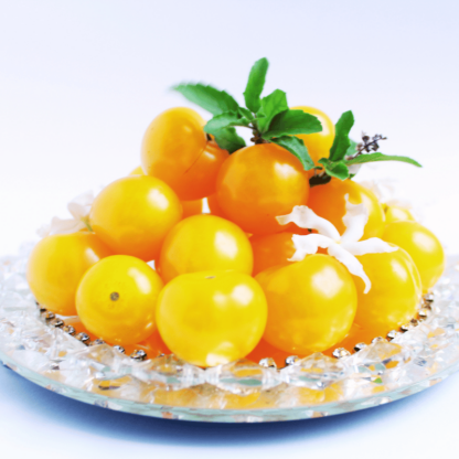 TOMATES CERISES JAUNES_AB  (FR-BIO-09)