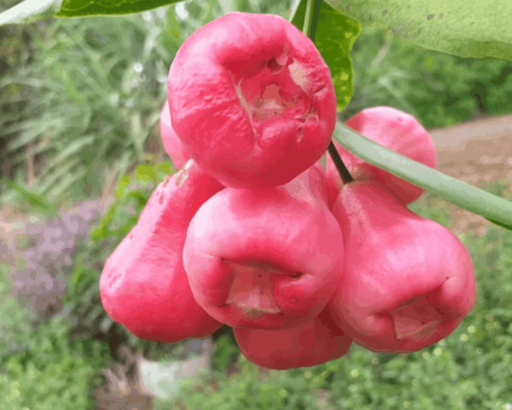 exploitation agricole tourisme touriste agritourisme