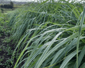 vue de l'exploitation agricole tourisme touriste agritourisme