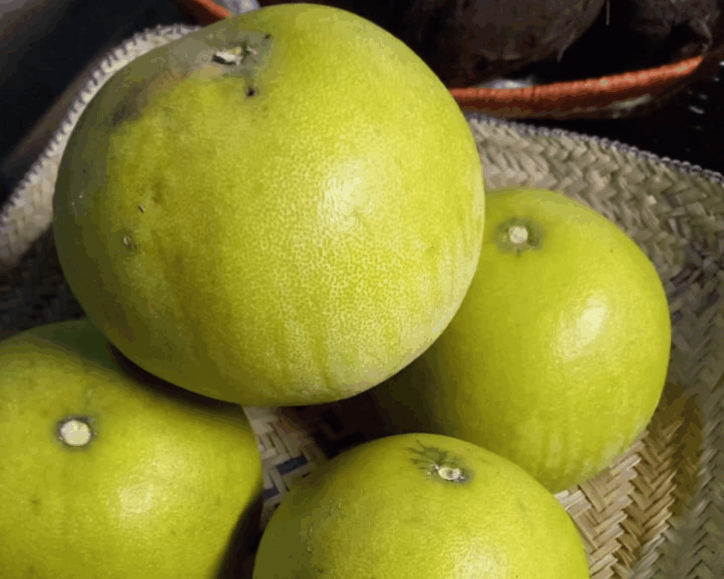 exploitation agricole tourisme touriste agritourisme